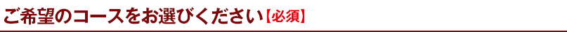 ご希望のコースをお選びください【必須】